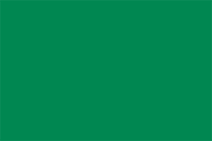 Sokoto Halifeliği Bayrağı.png