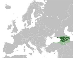 Gürcü İmparatorluğu 1220'li yıllarda en geniş sınırlarında.