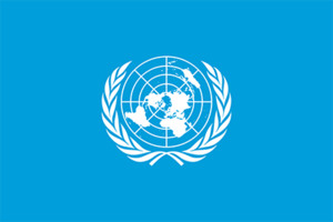 Birleşmiş Milletler Bayrağı.png