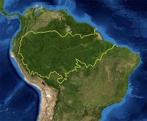 Amazon Ormanları.jpg