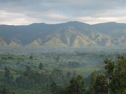 Rwenzori Dağları Milli Parkı