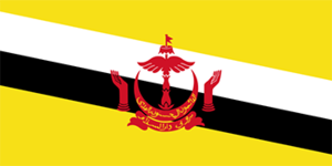 Brunei-Bayrağı.png
