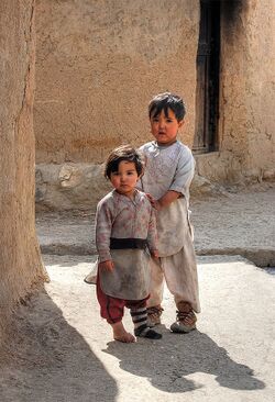 Afganistan'da nüfusun %44,6'sını 0-14 yaş grubu oluşturmaktadır. Ortalama çocuk sayısı her 1 kadına 6,69 çocuk şeklindedir.