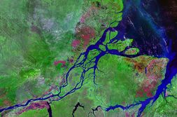 Amazon Nehri'nin okyanusa döküldüğü yer